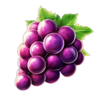 Winogrono Blazing Crown